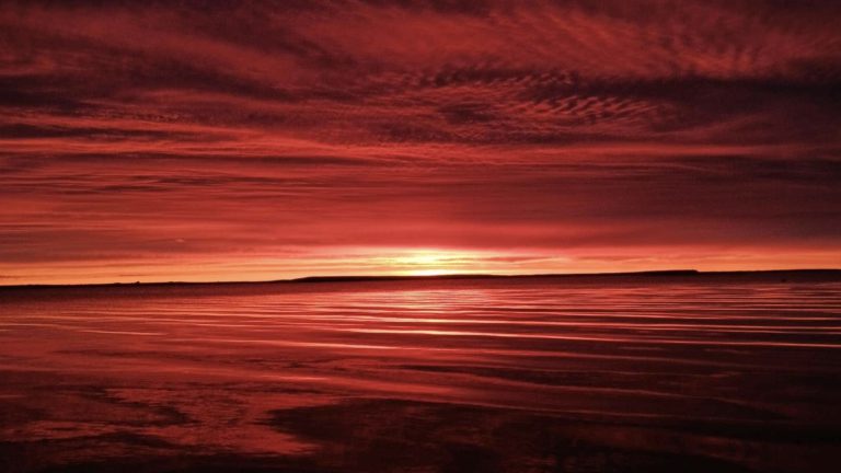 Avatittinnik Kamatsiarniq isn't just a tradition; it's a responsibility. Inuit youth and artists are leading the way in environmental stewardship, protecting the land for future generations. Our connection to the land inspires action and drives positive change.