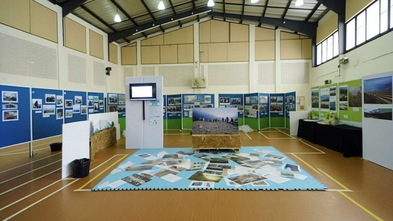 From large-scale museum installations to intimate community pop-ups, AI tools like DALL·E 3 are helping artists and curators craft bold, imaginative concepts with ease. These tools allow creatives to rapidly prototype ideas, visualize themes, and explore designs that might have taken weeks or months to develop.