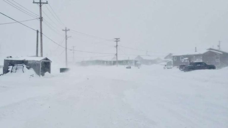 Spring is almost here. Photo by Lucy Eetak.