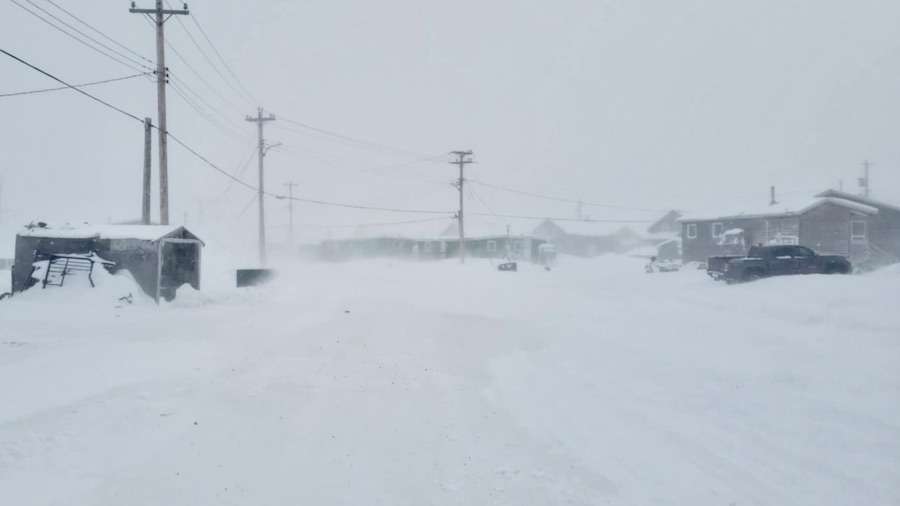 Spring is almost here. Photo by Lucy Eetak.