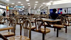 This captured stillness – this frame of functional solitude in a downtown Winnipeg food court – has so far flickered and scrolled across 88,208 screens.