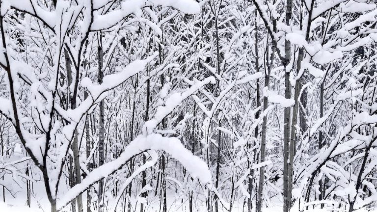 the-end-of-winter-manitoba-arts-project-2025 2