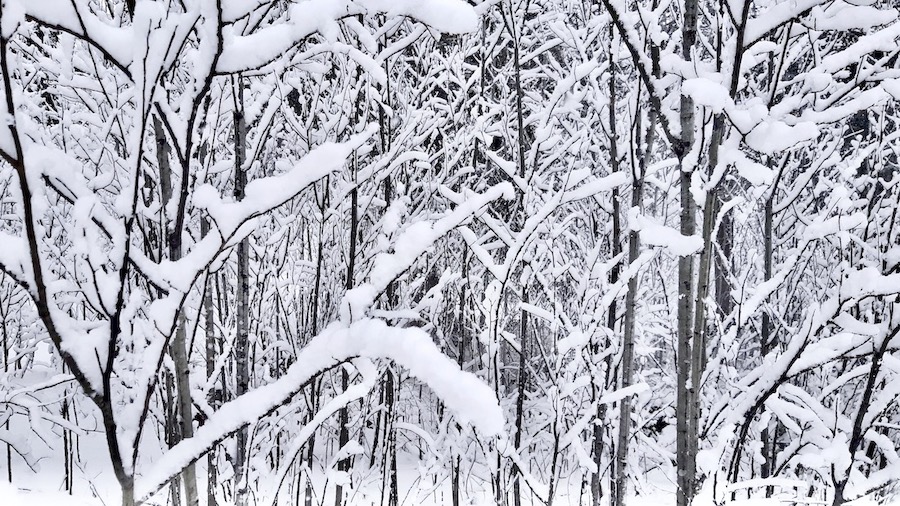 the-end-of-winter-manitoba-arts-project-2025 2