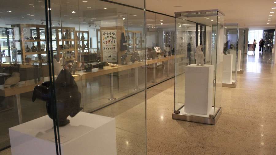 What happens when young artists stop focusing on what’s missing and start building with what’s already there? This blog explores how ABCD is helping youth in the arts sector lead powerful, low-cost, community-based projects using their existing strengths and relationships. Photo: Tony Eetak