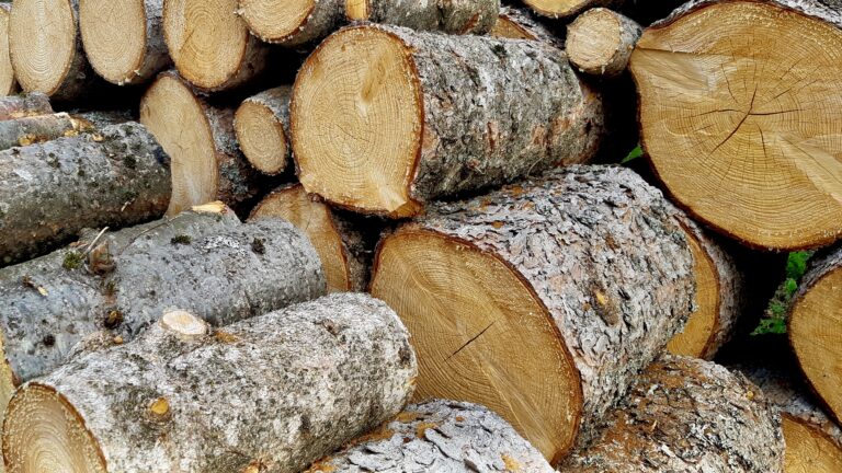 Getting a head start on winter—cutting and stacking wood before the mosquitoes and ticks take over. We only use older trees and always plant new ones, replacing every log we burned last year. It’s part of our seasonal rhythm and our arts-based approach to sustainable living.