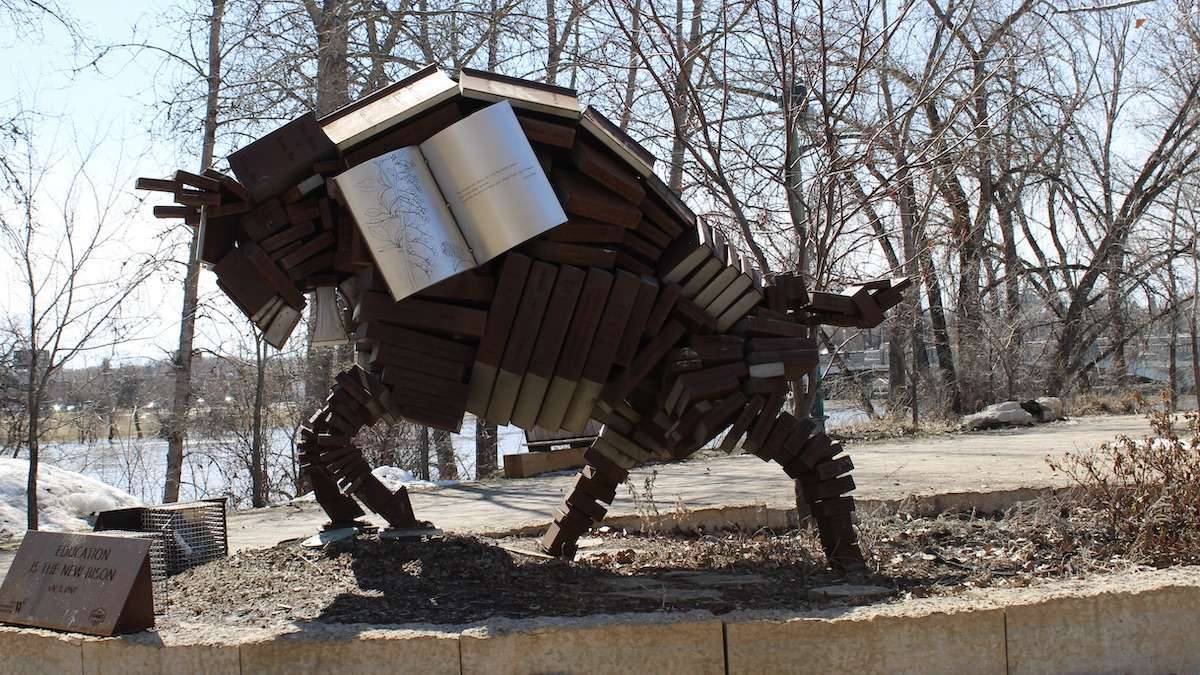 Education is the new Buffalo. A beautiful sculpture which can be found down near the Forks by Val T. Vint.