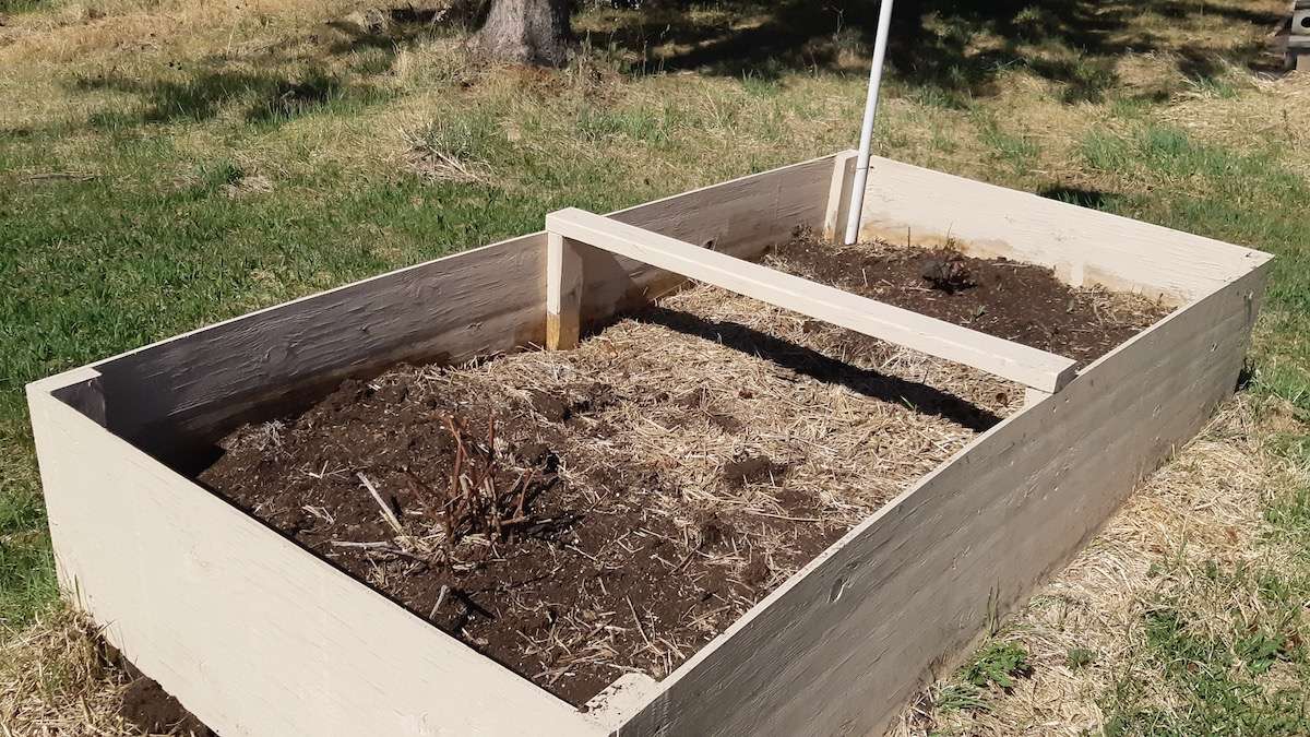 Nurturing growth in our community grow boxes. Inspired by successful projects, we're expanding our capacity for sustainable local food production this year!