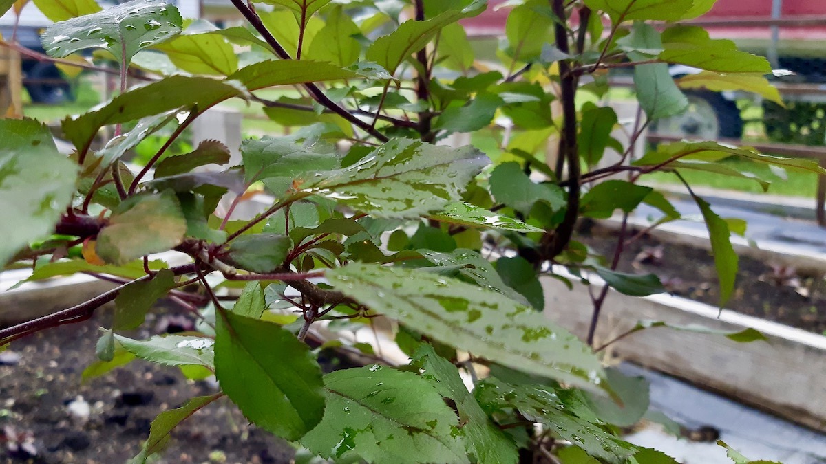 Is your group struggling to reach the right people? Our Strategic Planning service helps you communicate with precision. #CommunitySupport #NonProfit