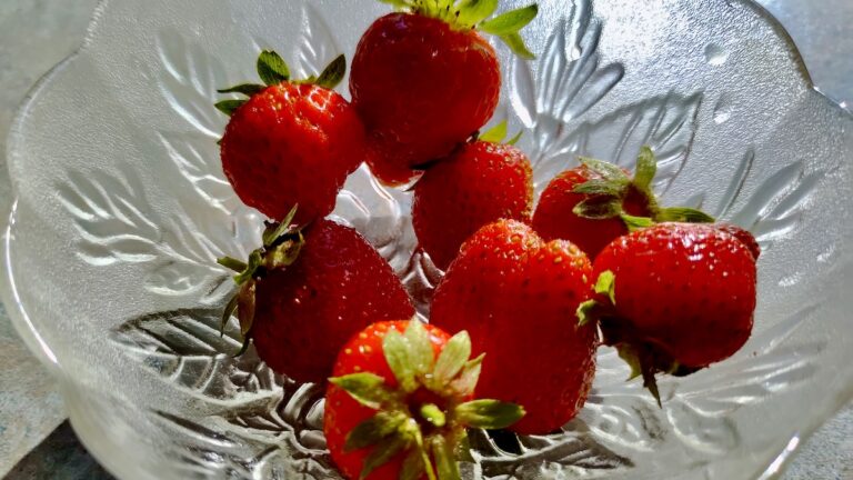 fresh-picked-strawberries