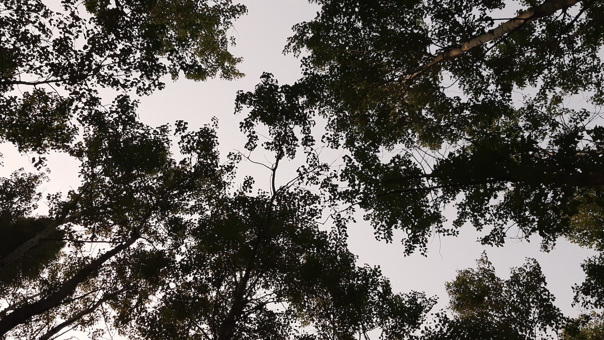 Professional communication builds trust in Winnipeg. We help you tell your story clearly. #WinnipegNonProfits #CommunicationServices