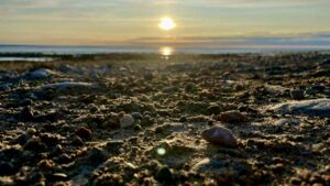 Just look at that sun! It's like someone poured liquid gold across the open water of Hudson Bay. The light just dances on the gentle waves, stretching all the way to forever. In moments like this, everything feels peaceful, expansive, and utterly, breathtakingly beautiful.