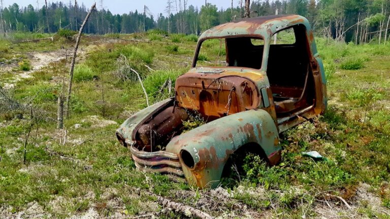 A beautifully derelict 1948 Chevrolet truck, left to rust in the forests of Northwestern Ontario since the 1950s.
