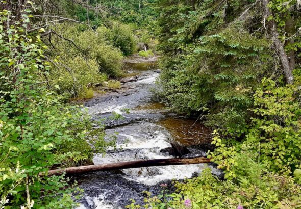 Bear Creek in Melgund Township, Northwestern Ontario.