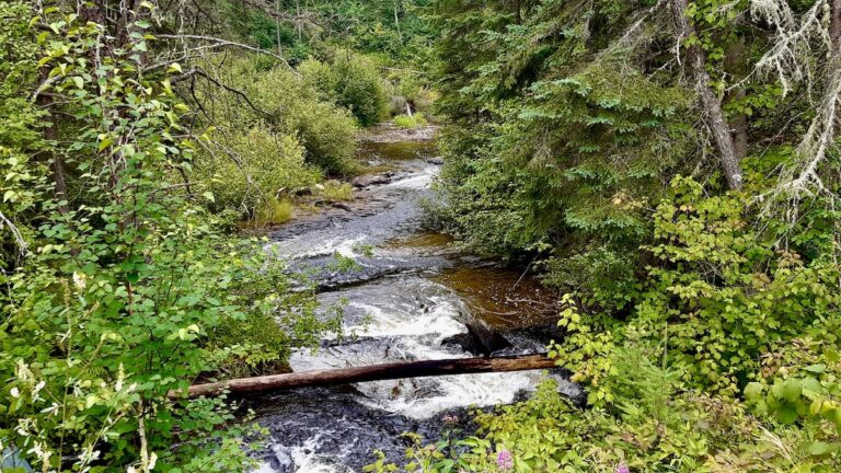 Bear Creek in Melgund Township, Northwestern Ontario.