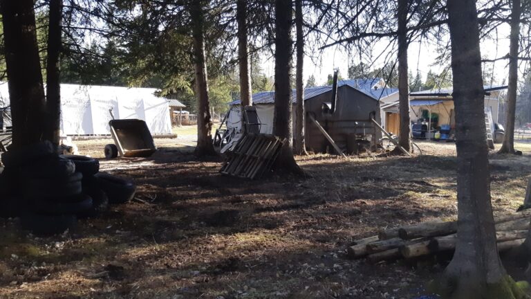 The Arts Incubator Land Lab in Northwestern Ontario is a funky outdoor space where we connect art with nature.
