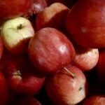 Fresh from the orchard—our northwestern Ontario apples are the sweetest way to close out the summer at the Land Lab.