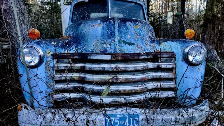 This rugged 1954 Chevrolet 3100 truck rests quietly, its once-vibrant blue paint now a beautiful, multi-hued patina earned over decades of exposure to the elements.