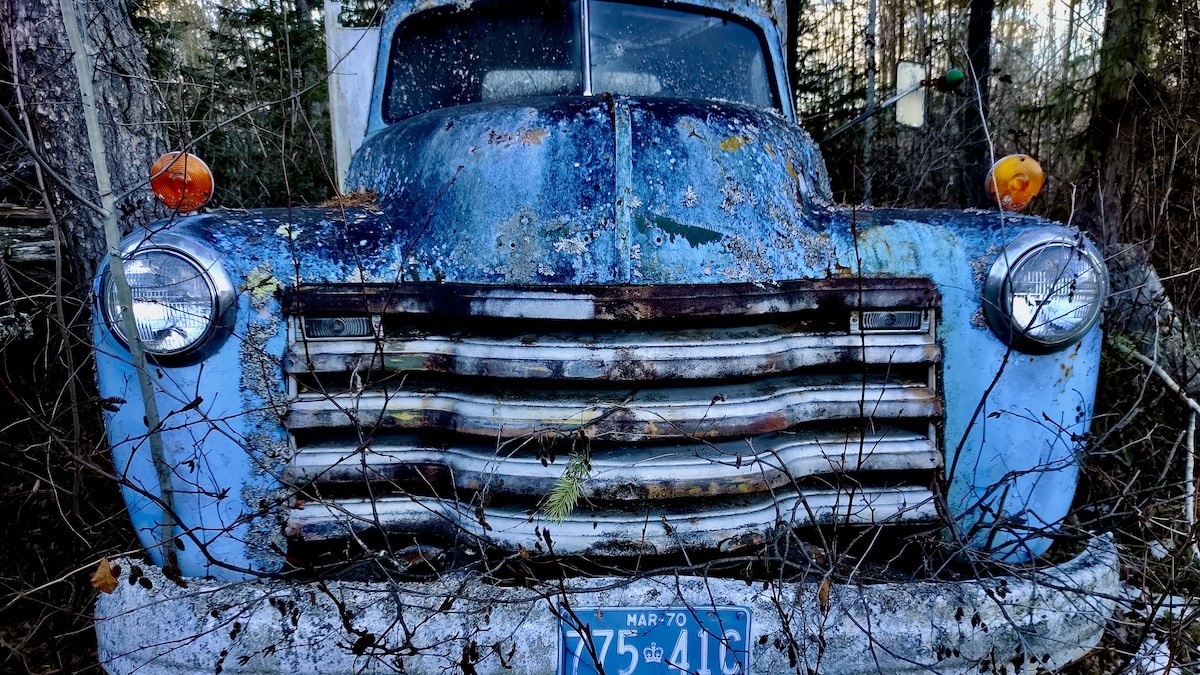 This rugged 1954 Chevrolet 3100 truck rests quietly, its once-vibrant blue paint now a beautiful, multi-hued patina earned over decades of exposure to the elements.