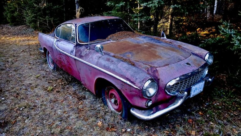 This beautiful, but heavily worn, Volvo P1800 sports coupe—famous for its elegant design and starring role in The Saint—now sits quietly, its original red paint fading to purple. The distinct curves and chrome details are still visible beneath the rust, suggesting a glamorous life that ended here among the trees.