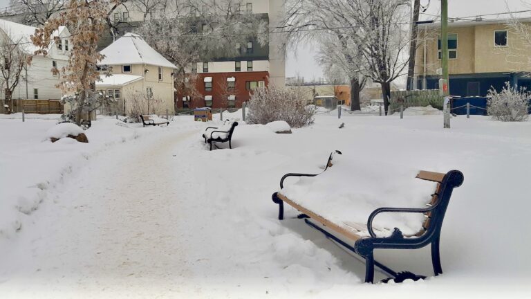 uwinnipeg-park-bench