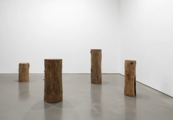 Transform your gallery with salvaged timber pedestals to create stunning, eco-friendly displays while saving your precious budget.