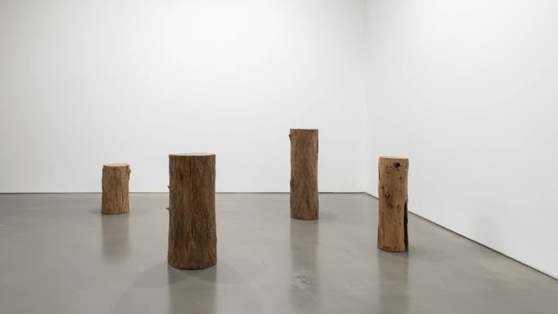 Transform your gallery with salvaged timber pedestals to create stunning, eco-friendly displays while saving your precious budget.