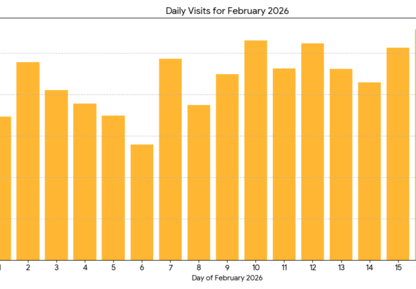 Growth in Action: This bar chart provides a clean breakdown of our daily visitor count, demonstrating a strong 'floor' of engagement that never dipped below 6,000 unique sessions per day.