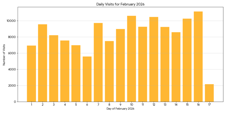 Growth in Action: This bar chart provides a clean breakdown of our daily visitor count, demonstrating a strong 'floor' of engagement that never dipped below 6,000 unique sessions per day.