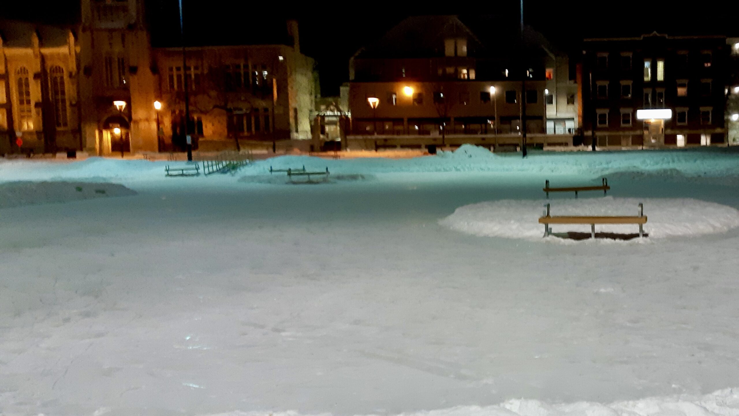 The Bench Where It Happens