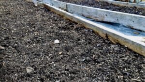 Dismantling Canada’s food sovereignty