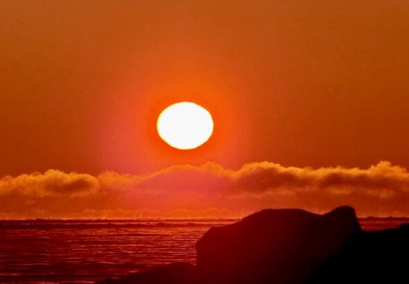 The sun now lingers longer each day after winter bringing a slow and steady return of light. Soon we will hear geese and seagulls returning across the coast marking change across the season.