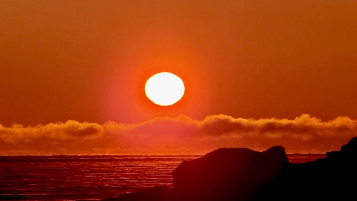 The sun now lingers longer each day after winter bringing a slow and steady return of light. Soon we will hear geese and seagulls returning across the coast marking change across the season.