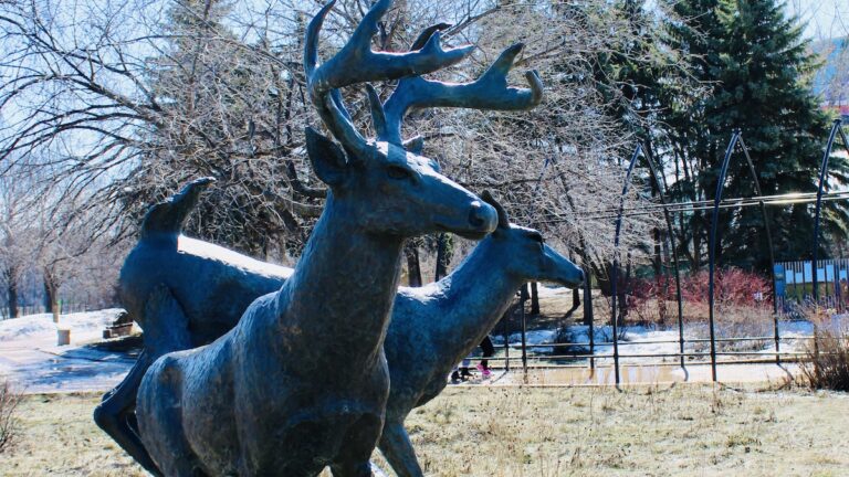 A buck and doe leap through time in Peter Sawatzky’s lifelike bronze tribute to Manitoba’s natural beauty.