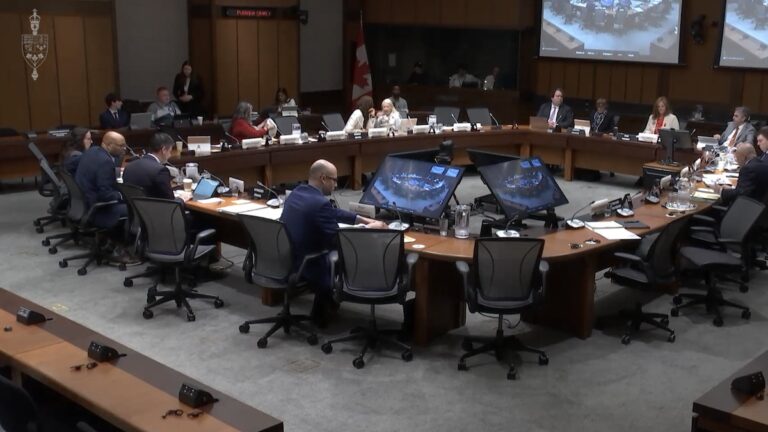 Standing Committee members discussed pursuing a dual-track strategy combining strict legislative crackdowns with direct technical support.
