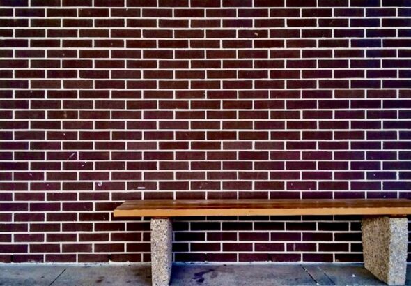 Against a stark brick backdrop, this unassuming Windsor bench serves as an open-air boardroom where artists gather to dissect concepts, share stories, and connect under the open Canadian sky.
