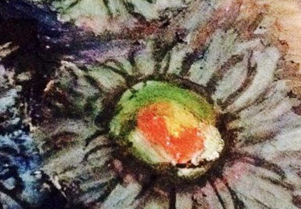 We find our own inner rhythm reflected in the messy, beautiful chaos of a flower in full explosion.