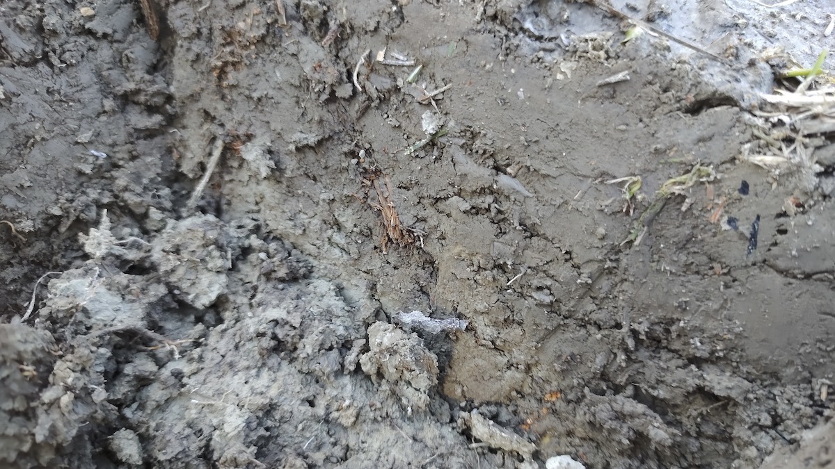 One of this summer's creative projects will explore how clay connects art, geology, history, and human storytelling across generations and landscapes naturally.