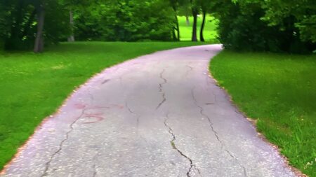 Elmwood Park