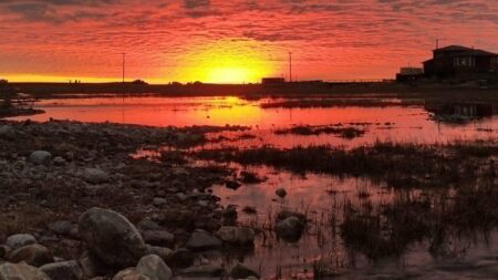 Forget standard golden hours—we’re on that deep subarctic crimson wave now. Who’s road-tripping north with me next time?