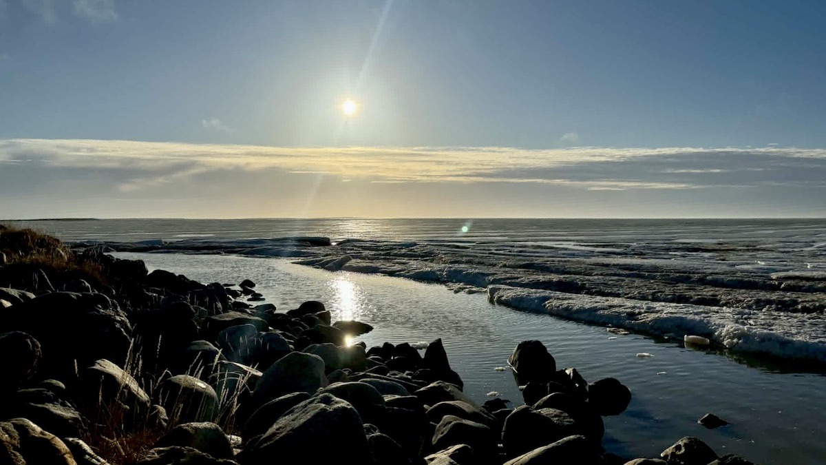 The shores of Hudson Bay. This is where many of the projects that shaped our work today started. Happy Nunavut Day! Photo: Tony Eetak