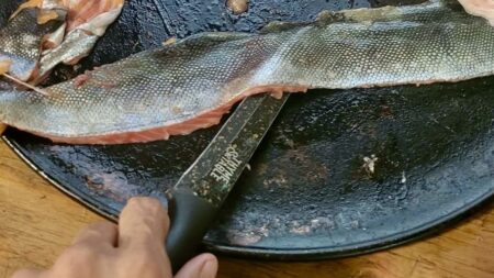 Crafting With Fish Skins: The Ultimate Sustainable Eco-Material