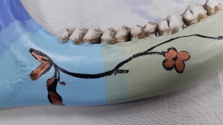 Here's one of the moose jaws Kaya painted during recent art workshops. It was so much fun!