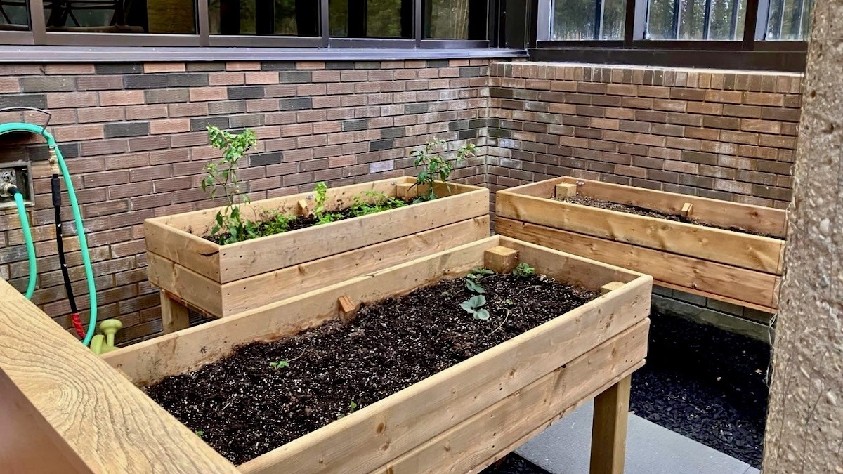 A university campus, a few garden planters, and plenty of inspiration for our next visit! We enjoyed seeing how Athabasca University brings a little nature into its shared spaces. Our living lab work often centres on placemaking, community gardens, and food security, so it's always interesting to see how other places make room for greenery and community life. Thanks, Athabasca University, for a wonderful visit!