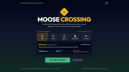 We did this little project entirely for fun. Based on the famous game Frogger that our grandparents used to play, we decided to make our own version, called Moose Crossing!