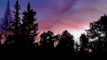 The sky turned shades of pink, violet and soft orange as the sun disappeared behind the trees during Art Borups Corners' October 24 pit firing. Even with plenty to keep them busy, the team had a spectacular view overhead. Northern autumn has a way of making these little moments feel especially precious, particularly when daylight seems to disappear a little earlier every evening.