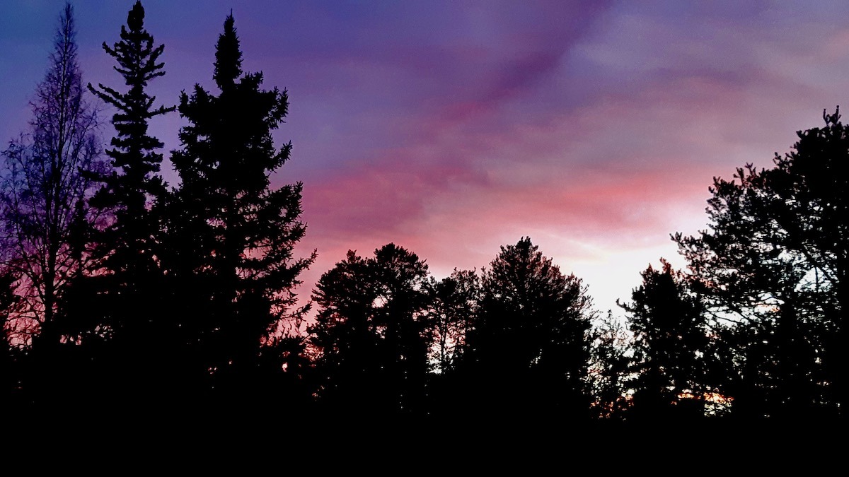 The sky turned shades of pink, violet and soft orange as the sun disappeared behind the trees during Art Borups Corners' October 24 pit firing. Even with plenty to keep them busy, the team had a spectacular view overhead. Northern autumn has a way of making these little moments feel especially precious, particularly when daylight seems to disappear a little earlier every evening.